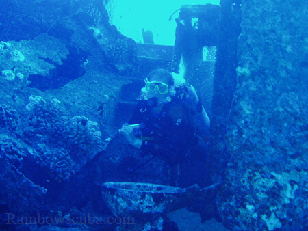 Scuba diving hawaii shark rainbowscuba -33