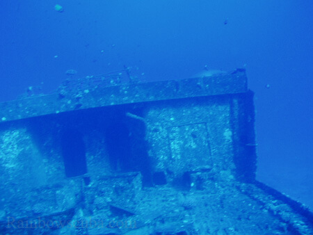 Scuba diving hawaii shark rainbowscuba -37