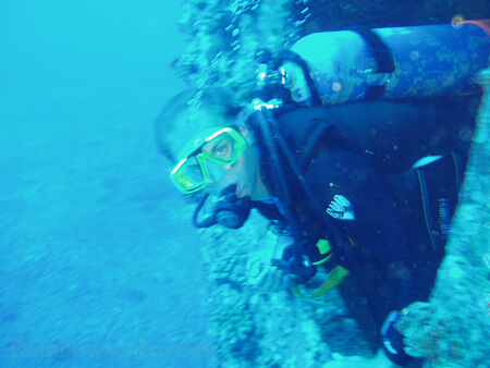 Scuba diving hawaii shark rainbowscuba -65