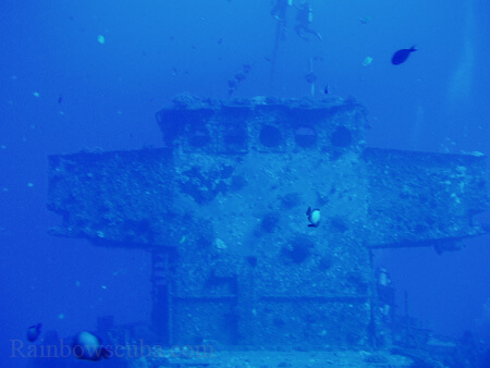 Scuba diving hawaii shark rainbowscuba -66