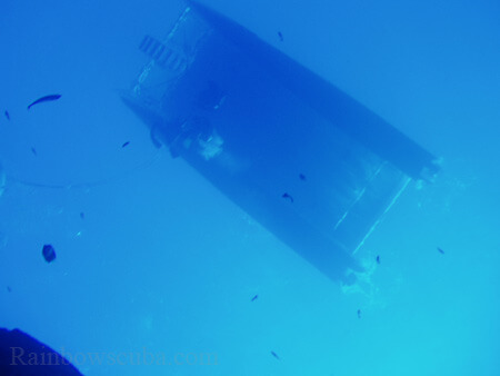 Scuba diving hawaii shark rainbowscuba -68