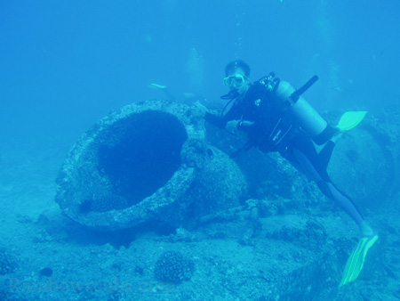 Scuba diving hawaii shark rainbowscuba -73