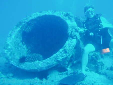 Scuba diving hawaii shark rainbowscuba -74