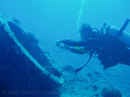 Scuba diving hawaii shark rainbowscuba -75