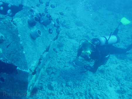 Scuba diving hawaii shark rainbowscuba -76
