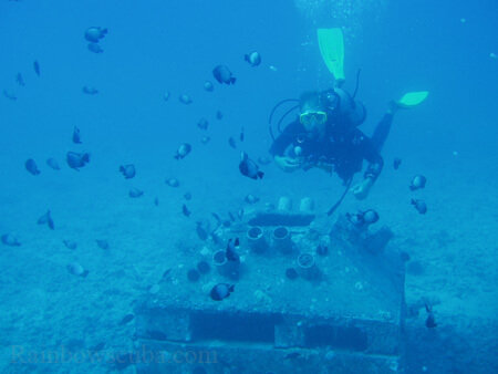 Scuba diving hawaii shark rainbowscuba -77