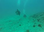 Hawaii Scuba divng 06