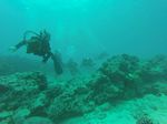 Hawaii Scuba divng 87