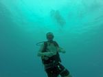 Hawaii Scuba divng 60
