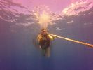 Hawaii Scuba divng 01