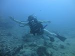 Hawaii Scuba divng 34