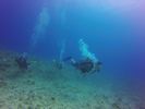 Hawaii Scuba divng 11