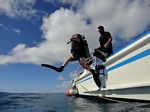 Hawaii Scuba divng 35