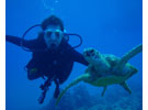 scuba lessons in Hawaii
