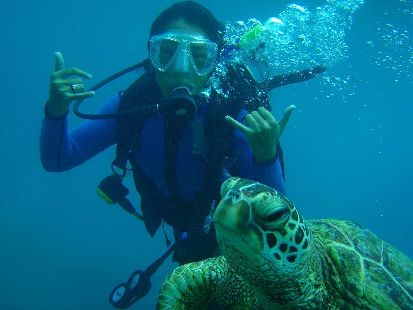 Hawaii Scuba Diving PADI Certification Honolulu Scuba Lessons