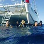 Hawaii scuba diving charters
