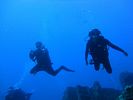 Hawaii Scuba diving 14
