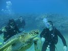 Hawaii Scuba diving 34