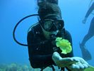 Hawaii Scuba diving 38