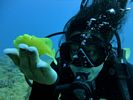 Hawaii Scuba diving 39