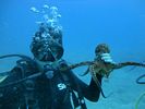 Hawaii Scuba diving 45
