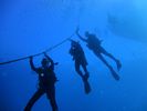 Hawaii Scuba diving 04