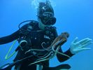 Hawaii Scuba diving 50