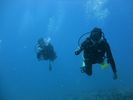 Hawaii Scuba diving 61