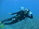 Hawaii Scuba diving 63