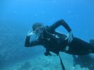 Hawaii Scuba diving 64
