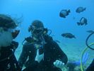 Hawaii Scuba diving 66