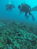 Hawaii Scuba diving 26