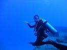 Hawaii Scuba diving 15