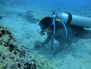 Hawaii Scuba diving 32