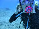 Hawaii Scuba diving 39