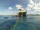 Hawaii Scuba diving 42