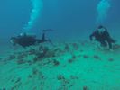 Hawaii Scuba diving 45