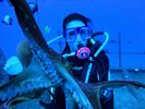 Hawaii Scuba diving 04