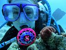 Hawaii Scuba diving 27