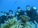 Hawaii Scuba diving 46