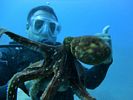 Hawaii Scuba diving 51