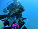 Hawaii Scuba diving 53