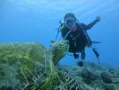 Hawaii Scuba diving 08