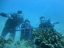 Hawaii Scuba diving 28