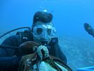 Hawaii Scuba diving 33