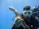 Hawaii Scuba diving 48