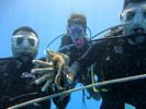 Hawaii Scuba diving 53