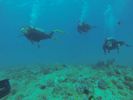 Hawaii Scuba diving 13