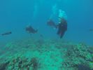 Hawaii Scuba diving 14
