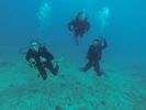 Hawaii Scuba diving 20